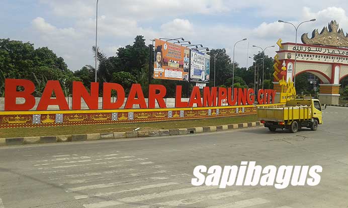 GAPUSPINDO Akan menyelenggarakan Munas Pertama Di Lampung 