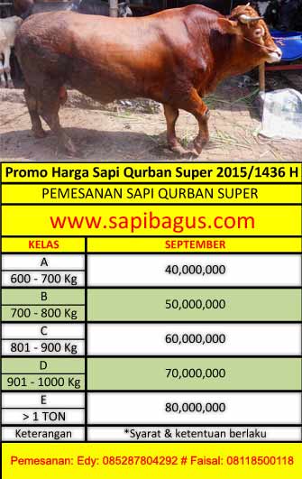 Promo-Sapi-Qurban-Super-2015