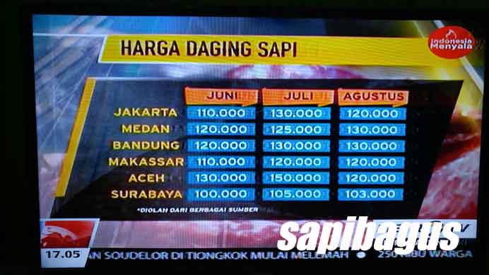Info Harga Daging Sapi Metrotv (9/8/15)