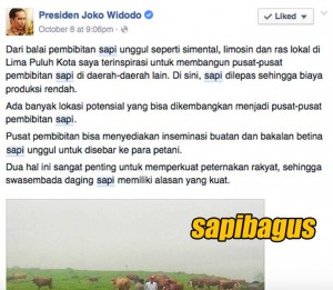 Facebook-page-Jokowi