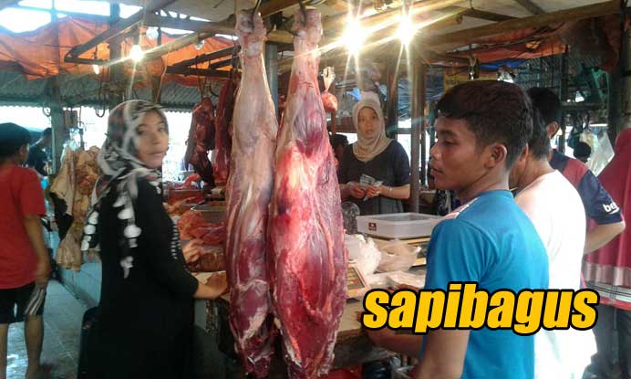 Lapak-Daging-Sapi-2016