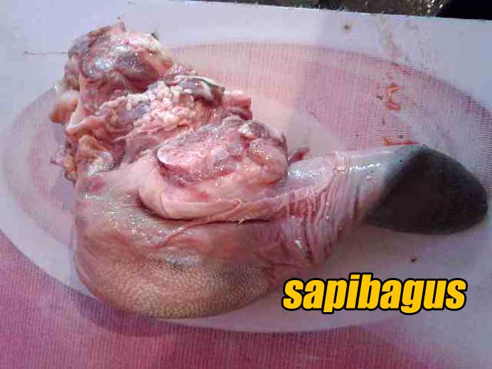 Impor-Daging-Lidah-Sapi-2016