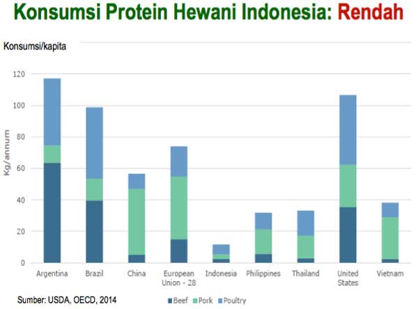 Konsumsi-Protein-Hewani-Indonesia-2016