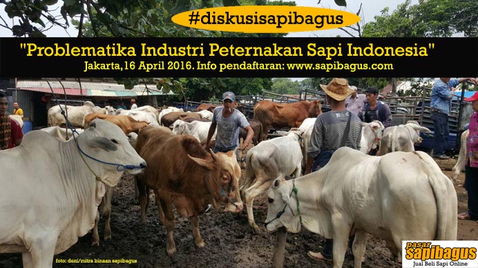 event-peternakan-sapi-indonesia-2016