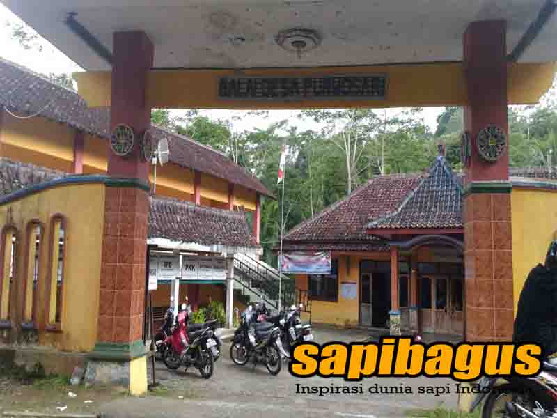 Balai-Desa-Purwosari-Kulonprogo-DIY