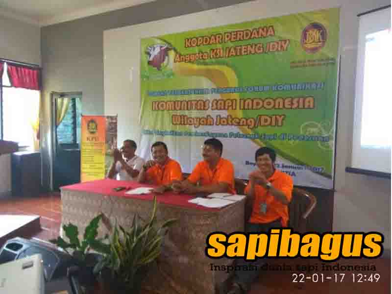 Komunitas Sapi Indonesia