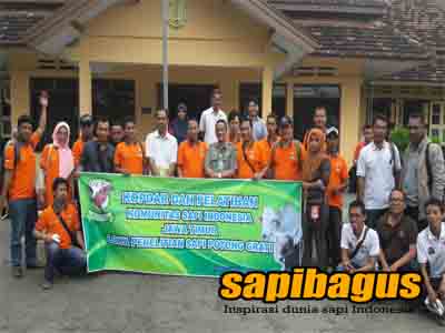 Pembentukan Kepengurusan Komunitas Sapi IndonesiaI Jawa Timur