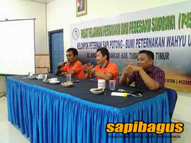 Seminar Komunitas Sapi Indonesia Jawa Timur Dengan Peternakan Wahyu Mulyo