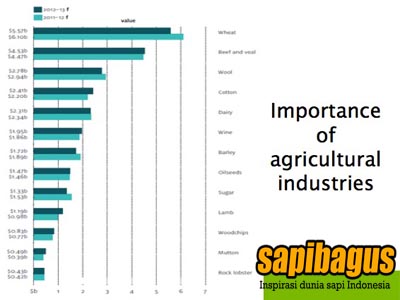 importance-of-agriculture-industries