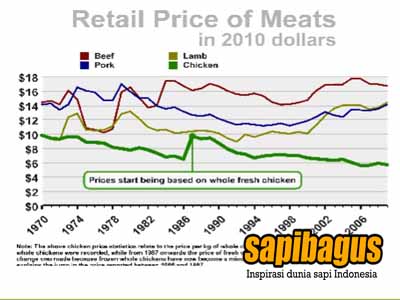 retail-price-of-meat-australia