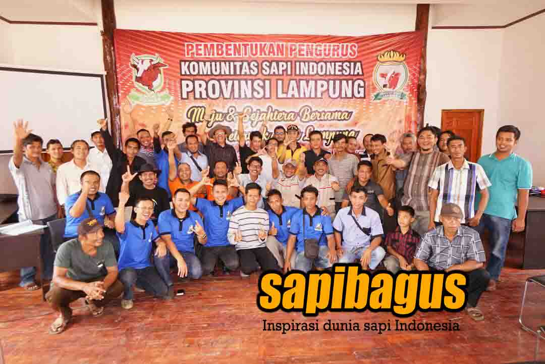 Kopdar-Komunitas-Sapi-indonesia-Sumatera