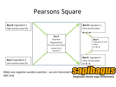 persons-square