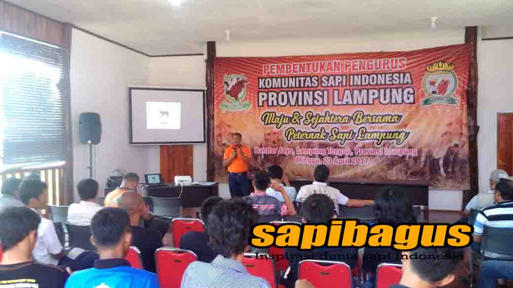 presentasi-edy-wijayanto-KSI-Lampung