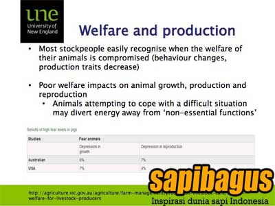 welfare-and-production