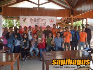 Komunitas Sapi Indonesia Terbesar