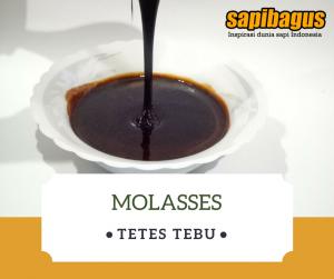 Molasses Untuk Industri Pangan