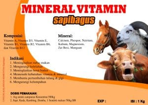Kandungan Mineral Vitamin Sapi