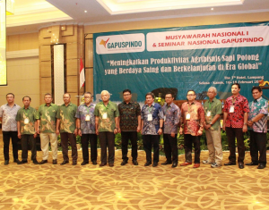 Komunitas Sapi Indonesia Terbesar
