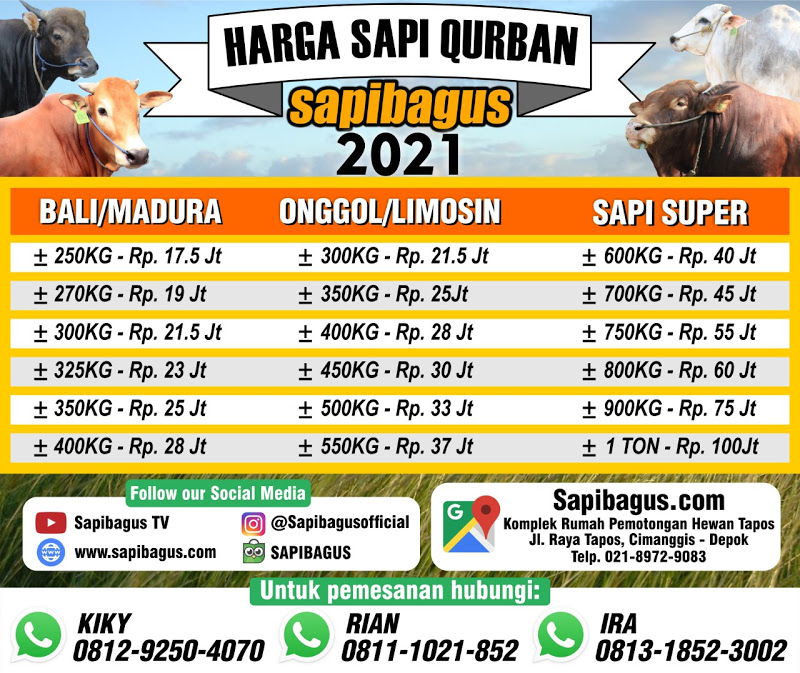 Jual Sapi Qurban 2021 Harga Promo Jakarta, Bogor, Depok, Tangerang, Bekasi