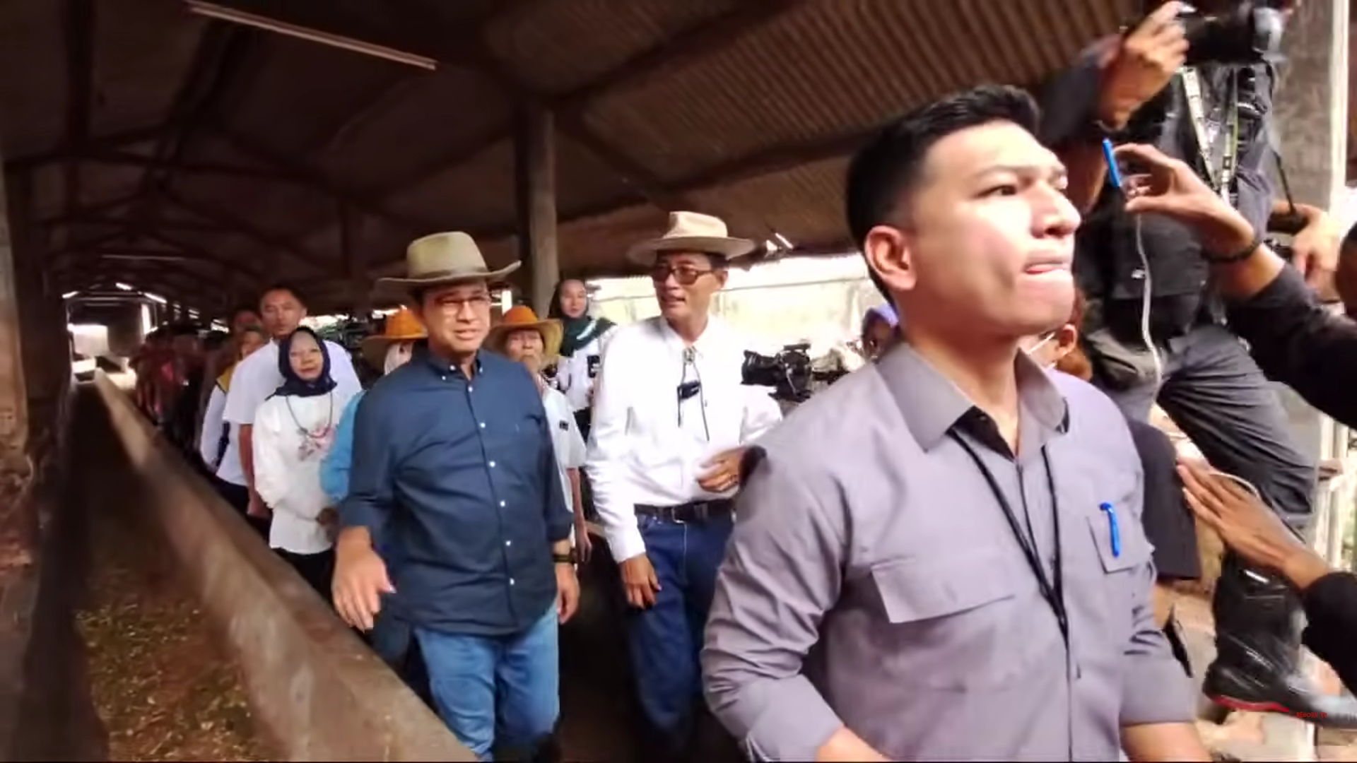calon presiden indonesia kunjungi peternakan sapi 