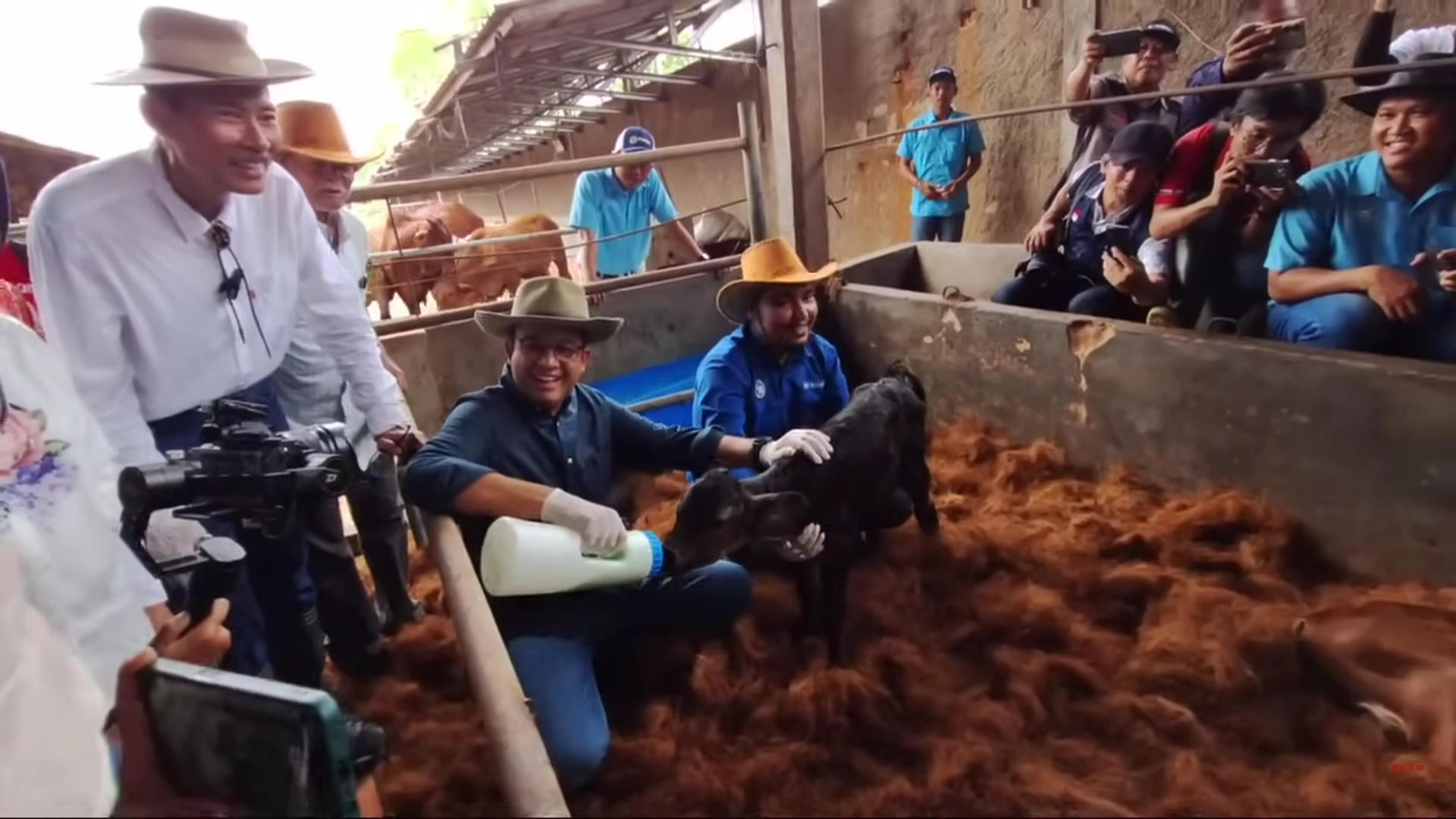 Anies perhatikan peternakan sapi Indonesia